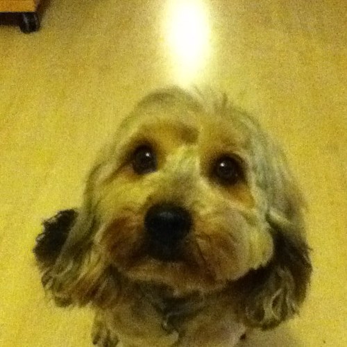 Marianna___S's profile picture. Teacher. Lover of books, maths, science, art, music and theatre. Strong supporter of emotional well-being and mental health. European