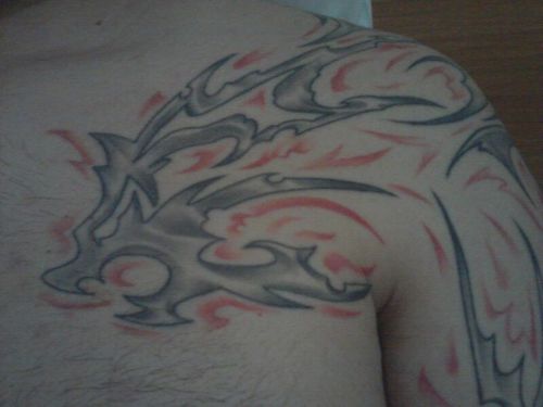 XKoa's profile picture. penosa