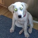 Nancy Ryan - @nryan361 - Twitter