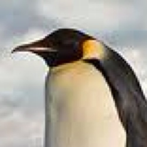 ProRonin's profile picture. Indie / alt music lover with an interest in national security and international affairs.