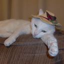 Kris Branch - @TweetKrisBranch - Twitter