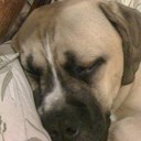 andy rees - @beef180 - Twitter