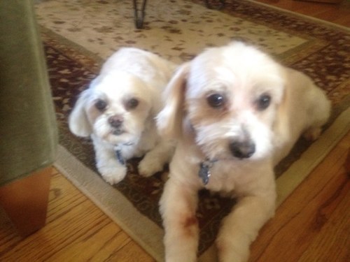 jakeypooh17's profile picture. 