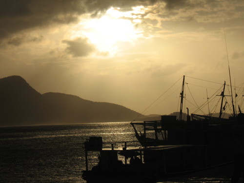 Magecani's profile picture. 