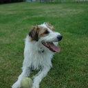 will boulton - @willbillbo - Twitter