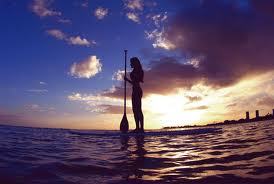 lmespeso's profile picture. 