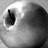 ProfBurl's profile image