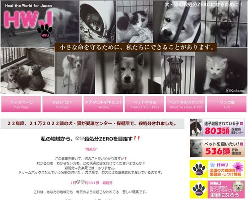 ＨＷＪ全国動物収容情報です。みなさん、迷子の犬・猫を探す為に、拡散よろしくお願いします！