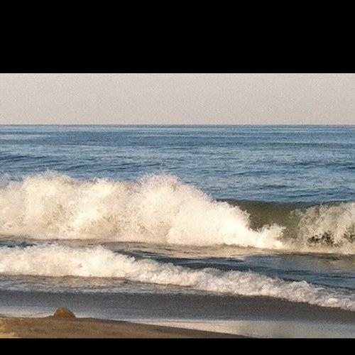 MERuss's profile picture. Director of Community Affairs, Archdiocese of Baltimore