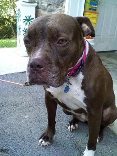 onestump's profile picture. Comics, Gaming, Beer, Fat Nerd Representing