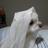 cma0103's profile image