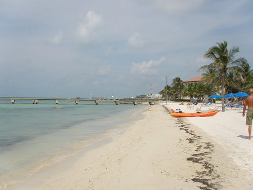 tailsfromtaomom's profile picture. Dog lover, avid book reader, management professional, Key West enthusiast, and fan of NY Jets and Giants.