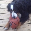 Liam Glover - @ldglover20 - Twitter