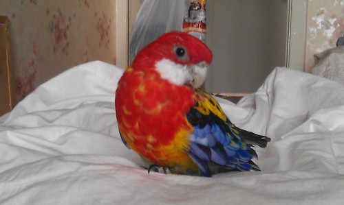 BARS__ik's profile picture. 