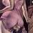 msa1409hotmailc's profile image