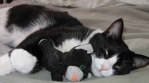 I am most adorable. I see things in black and white-never grey. I am seen here with my fav baby Junior
