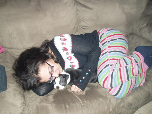 Decemberistt's profile picture. 