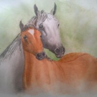 Shreechand Grg (@shreechandgrg) 's Twitter Profile