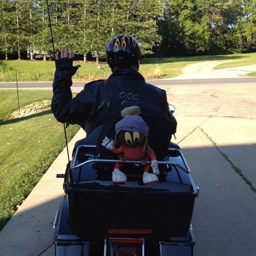 Bob55947's profile picture. 