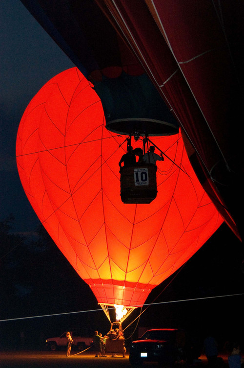 gadgetgal488's profile picture. 