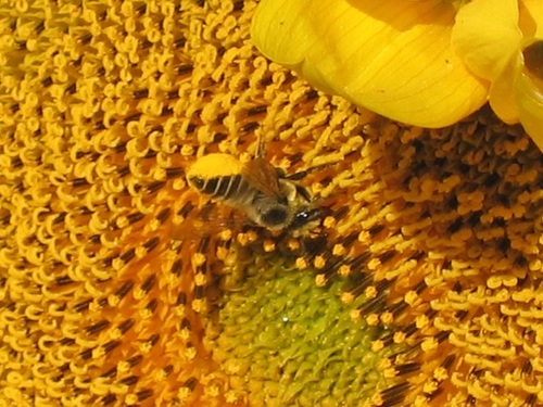 VictorCompTrain's profile picture. Travel