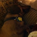 Becky - @BeckyFields4 - Twitter