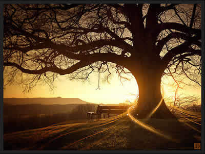 nandocraft1's profile picture. Aun estudio. Odio  la hipocresía,y no me gustan las matematicas   .Escucho  toda musica dependiente de mis emociones y sentimientos .Follow me and I follow you.