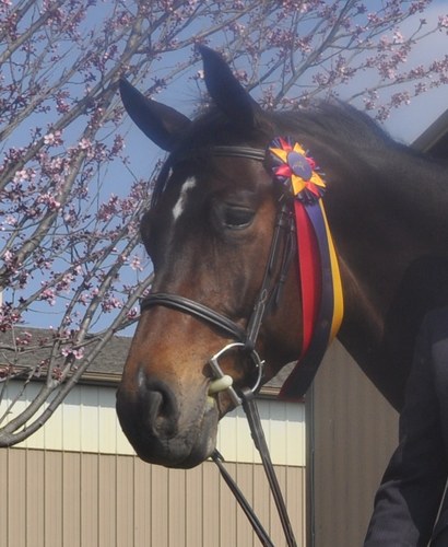 burchfieldbrig's profile picture. 