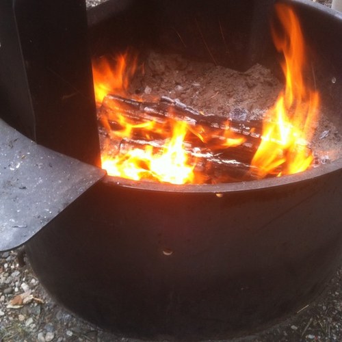 JymiSickels's profile picture. 