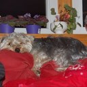 Susan McDonnell - @SueMcD63 - Twitter