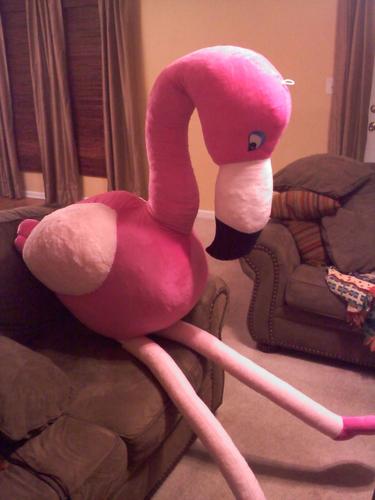 mlegalee's profile picture. 