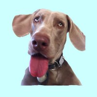 Official CloudHero (@thecloudhero) 's Twitter Profile