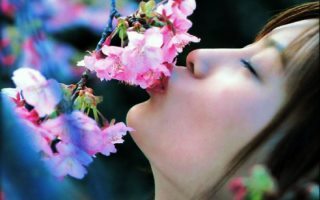 🍃🌸🍃🌸🍃🌸🍃🌸🍃

Tranquiliza Deus está cuidando dos mínimos detalhes, minha vida é dele , tudo é pra ele😘