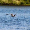 Andrew Marra Photos - @AMarraPhoto - Twitter