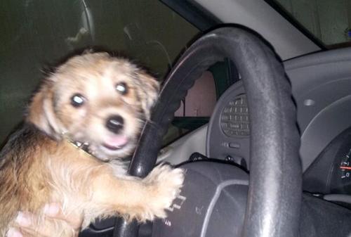 c_leath's profile picture. follow me and I will follow you back. Belieber for life!!