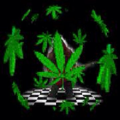 Blow_swish420's profile picture. i love the weed! thats all i live for #marijuana