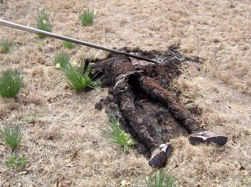 Adeadperson's profile picture. 