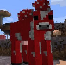 Red cow always wins