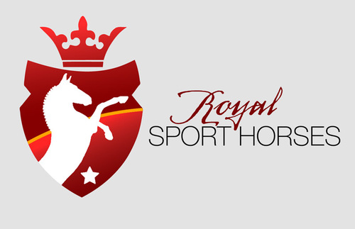 Horses to buy and sell from germany. #Showjumping, #equestrian, #dressage