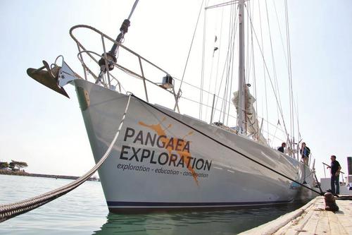 Uniting tourists, scientists, journalists, students, future explorers, and filmmakers on life-changing expeditions aboard SV Sea Dragon.