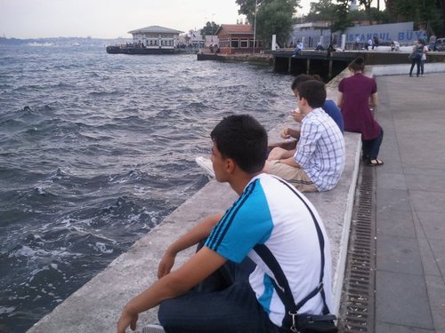 muratav80316637's profile picture. 