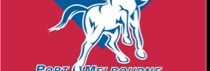 Portmelbcolts's profile picture. Official Twitter of The Port Melbourne Colts Football Club. Est 1957 Competing in the @southernFNL 2nd division premiers 2016!!!! 🏆