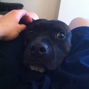 Arnold Hewitt - @ArniePiece - Twitter