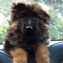 Vicky head  - @head_vic - Twitter