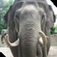 GeschichtenImperium (@story_imperium) 's Twitter Profile Photo GeschichtenImperium (@story_imperium) 's Twitter Profile Photo
