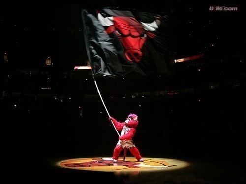 #TeamBulls #TeamBears #TeamBlackhawks #TeamCubs #ChicagoBitchez