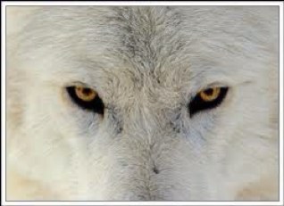 munhulei's profile picture. 