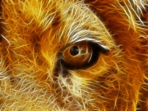 Roar...