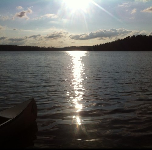 Wishmaster71179's profile picture. 