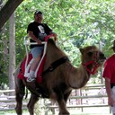 airforcesgt76 - @BernardMoll - Twitter